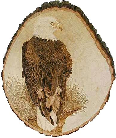 Lookout by Vickie Wessel 2002 Pyrography on wood slice